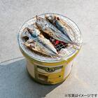 しちりん (26cm) 2枚目画像