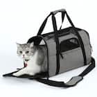 2WAYペットキャリー(BT-P010) 1枚目画像