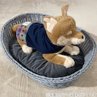 スライダー画像