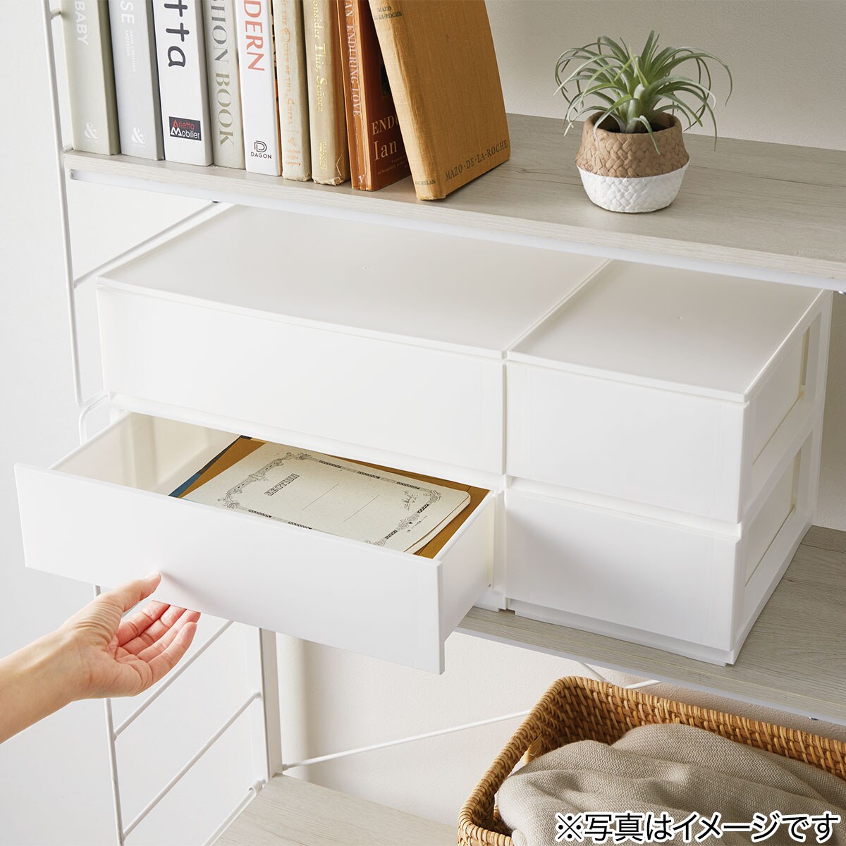 引出し Nインボックス たて型ハーフ 2段 ホワイト通販 | ニトリネット【公式】 家具・インテリア通販