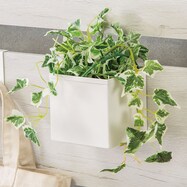 収納ボックス おしゃれ ニトリネット 公式 家具 インテリア通販