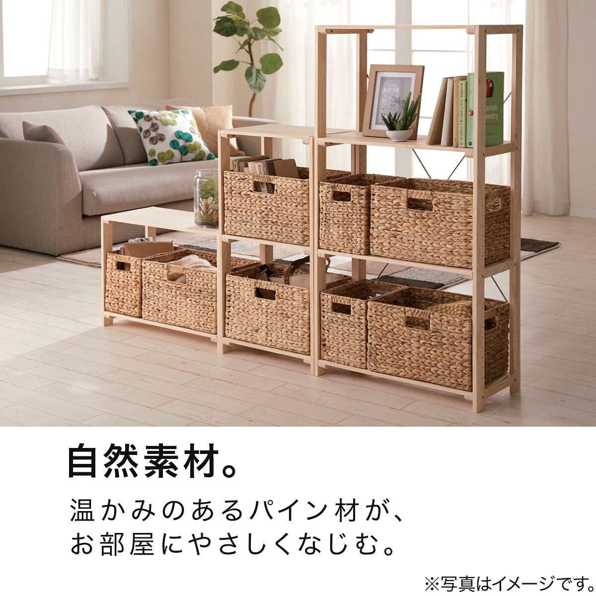 幅 奥行40cm パインラック マンクス 40通販 ニトリネット 公式 家具 インテリア通販 幅 奥行40cm パインラック マンクス 40通販 ニトリネット 公式 家具 インテリア通販