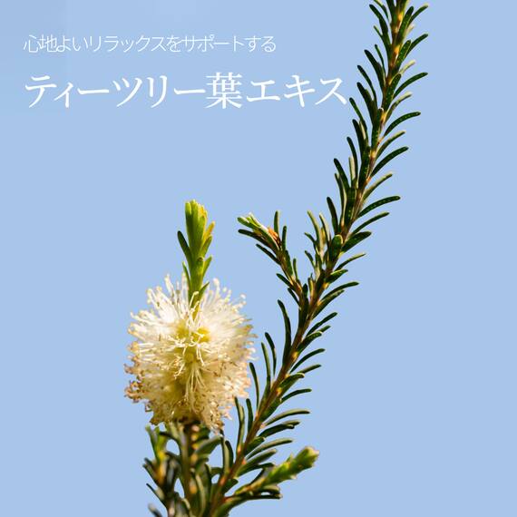 ブーケガルニ フレグランス ハンドクリーム(イランイランの香り) 7枚目画像
