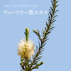 ブーケガルニ フレグランス ハンドクリーム(イランイランの香り) 7枚目画像