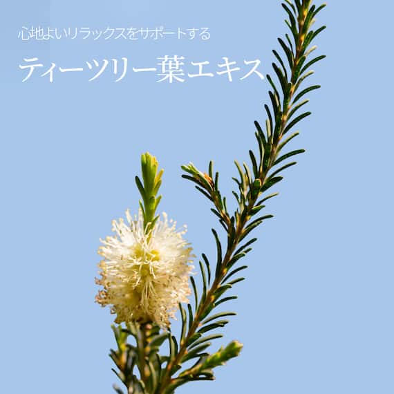 ブーケガルニ フレグランス ハンドクリーム(イランイランの香り) 7枚目画像