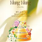 ブーケガルニ ファブリックスプレー500mL(イランイランの香り) 2枚目画像