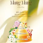 ブーケガルニ ファブリックスプレー500mL(イランイランの香り) 2枚目画像