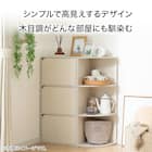 連結できるNカラボ 扉付き 5段(ホワイトウォッシュ) 3枚目画像