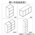 連結できるNカラボ 扉付き 5段(ブラック) 4枚目画像
