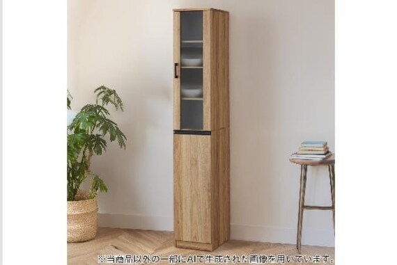 ｷｬﾋﾞﾈｯﾄ ﾌｫﾙﾑS SK1830 LBR 1枚目画像