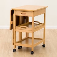 バタフライワゴン(オルガ)