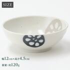 シリーズで食卓が整う 超軽量食器5点セット カル：エクレ（窯変紺/2色蓮根） 9枚目画像