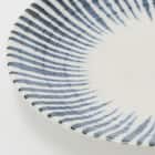 超軽量大皿 カル:エクレ(染十草) 6枚目画像