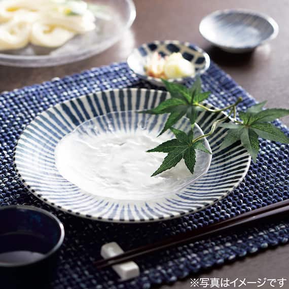 超軽量大皿 カル:エクレ(染十草) 8枚目画像