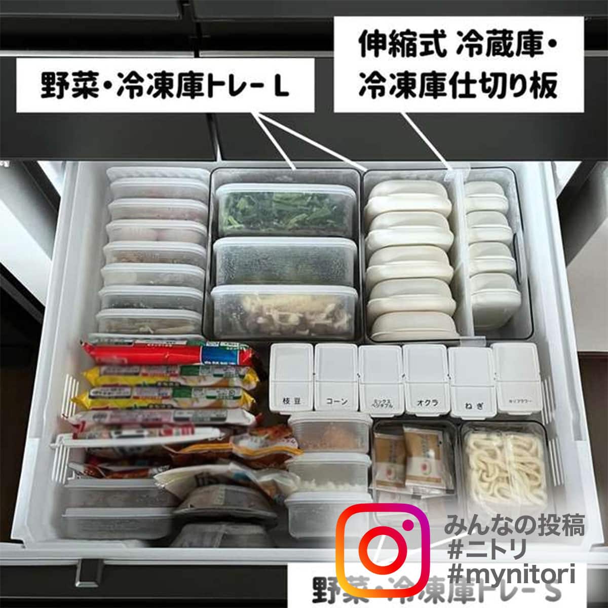 見やすく仕分けてすっきり整理 野菜・冷凍庫トレー(M 幅24cm奥行10cm