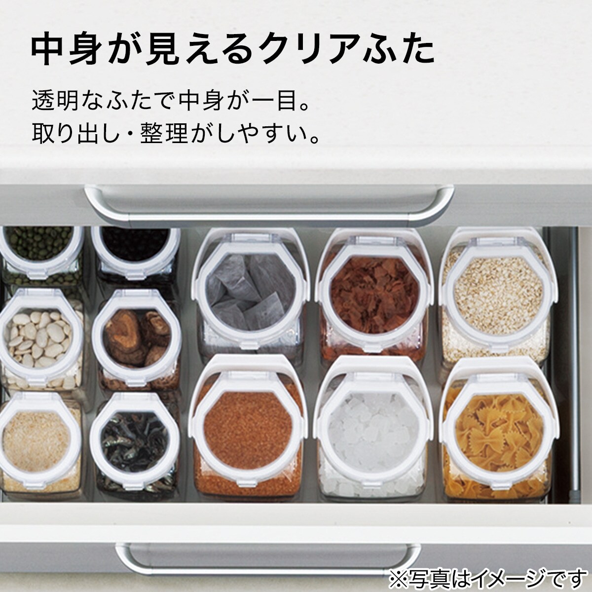 ワンプッシュキャニスター通販 ニトリネット 公式 家具 インテリア通販 ワンプッシュキャニスター通販 ニトリネット 公式 家具 インテリア通販