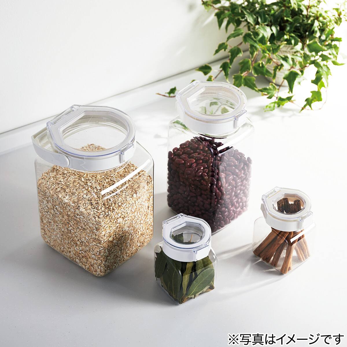 ワンプッシュキャニスター通販 ニトリネット 公式 家具 インテリア通販
