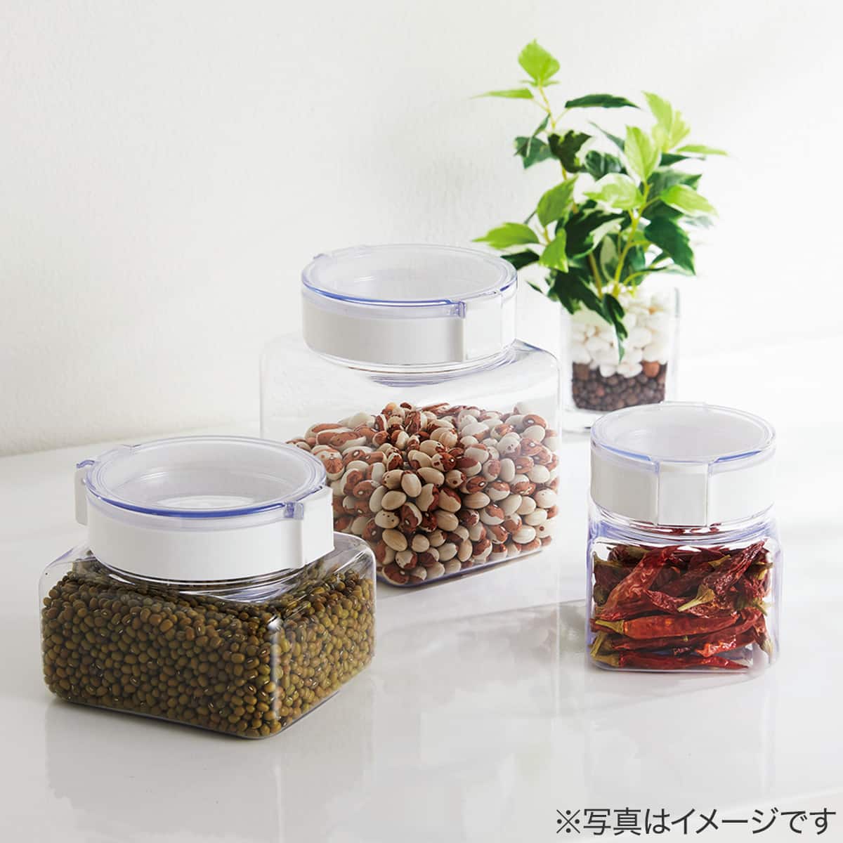 2WAYワンプッシュキャニスター 小ふた 260mL | ニトリネット【公式