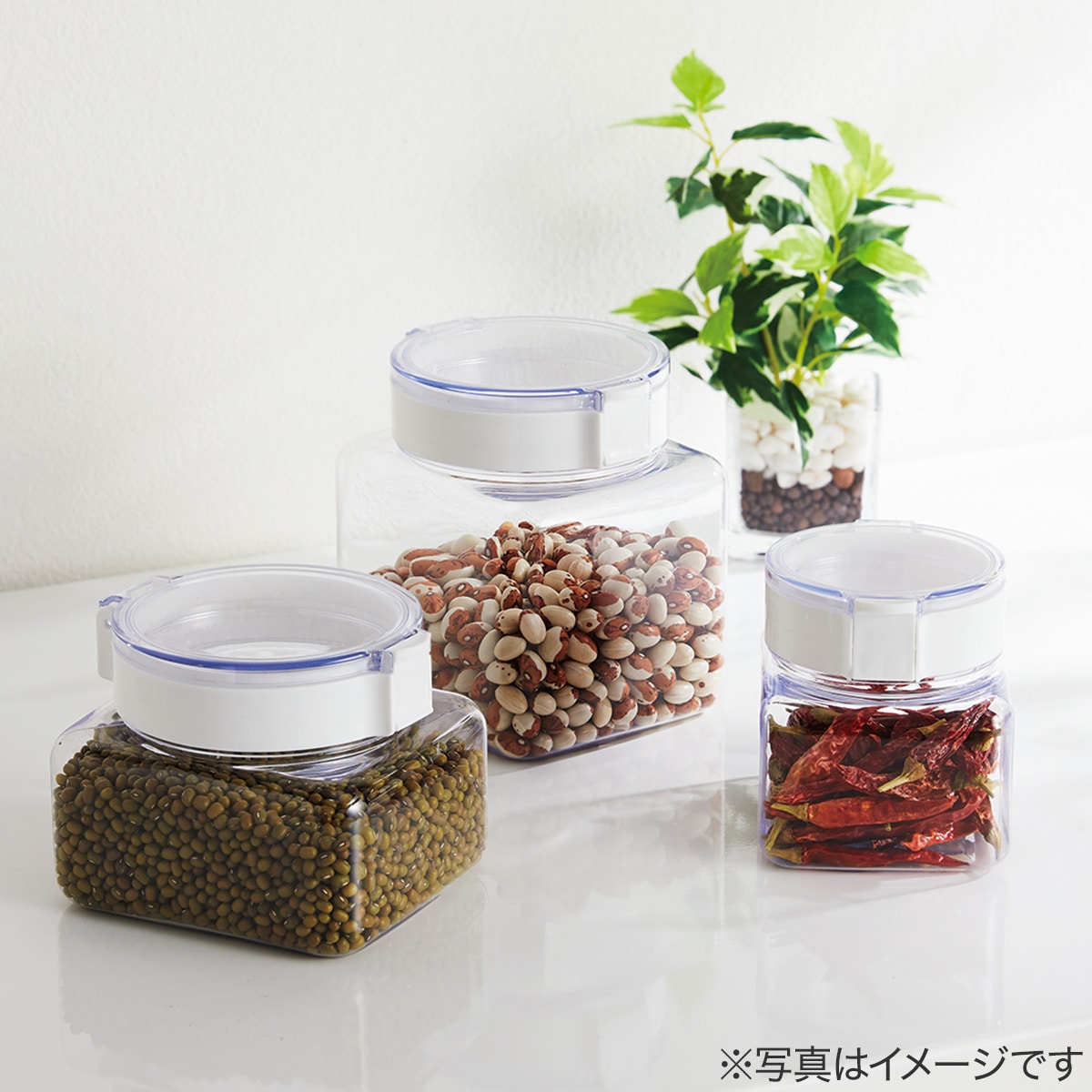 て*ん様 #11 国産ベース　バタースコッチブロンド　新品アッセンブリー2軸2連 711PqvBpcBL.jpg_BO30,255,255,