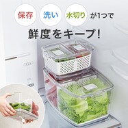 フレッシュキーパー(鮮度長持ち保存容器)