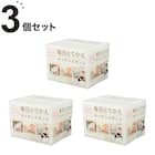 泡立ちがよい毎日とりかえスポンジ (30個入り アイボリー) 3点セット 1枚目画像