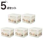 泡立ちがよい毎日とりかえスポンジ (30個入り アイボリー) 5点セット 1枚目画像