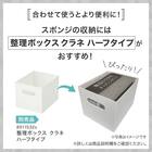 泡立ちがよい毎日とりかえスポンジ (30個入り アイボリー) 5点セット 6枚目画像