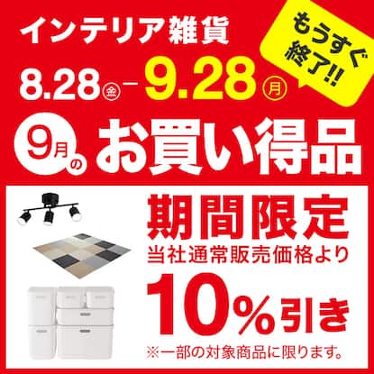 今月のお買い得品
