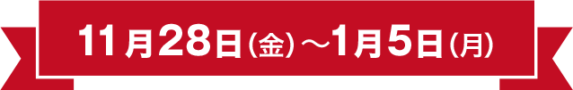 11月28日(金)～1月5日(月)