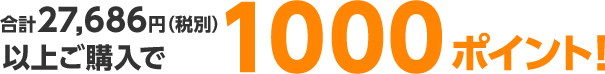 1000ポイント