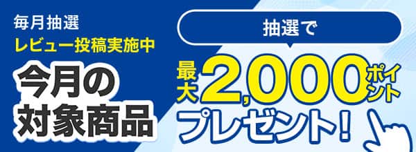 レビュー