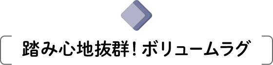 踏み心地抜群!ボリュームラグ
