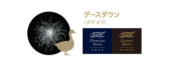 グースダウン