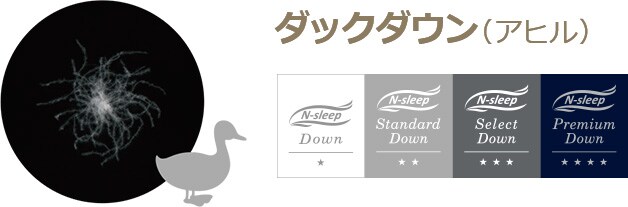 ダックダウン(アヒル)