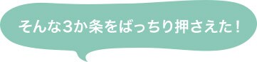 そんな3か条をばっちり押さえた!