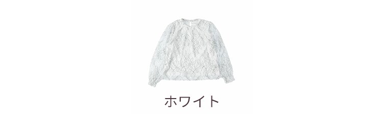 縁取りレースブラウス F