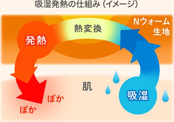 吸湿発熱の仕組み(イメージ)
