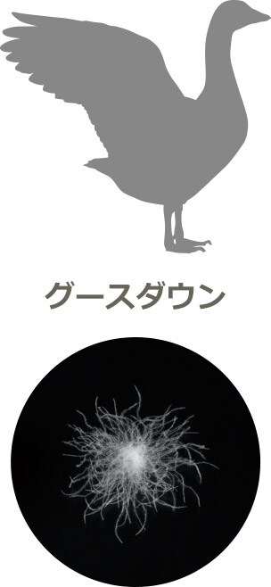 グースダウン