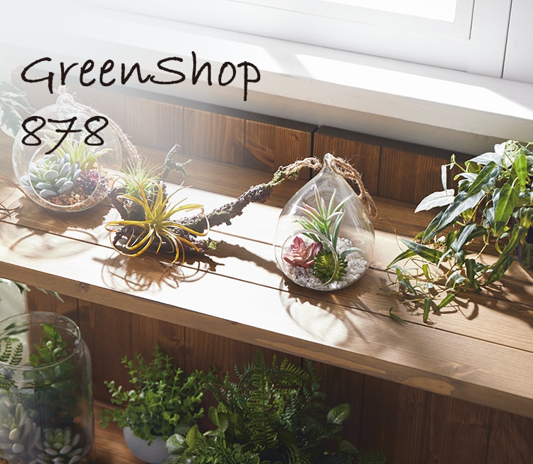 Guardio Shop Green Shop 878 ニトリネット 公式 家具 インテリア通販