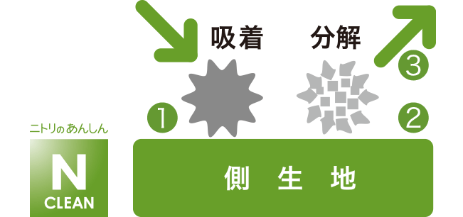 側生地