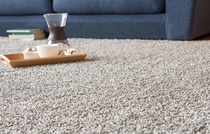 ニトリのおすすめラグ ニトリネット 公式 家具 インテリア通販 ニトリのおすすめラグ ニトリネット 公式 家具 インテリア通販