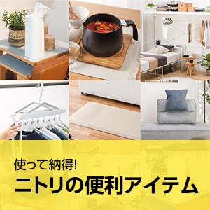 トイレブラシ トイレポット通販 ニトリネット 公式 家具 インテリア通販 トイレブラシ トイレポット通販 ニトリネット 公式 家具 インテリア通販