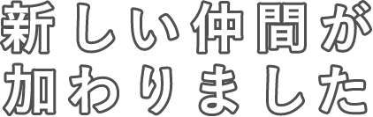 新しい仲間が加わりました