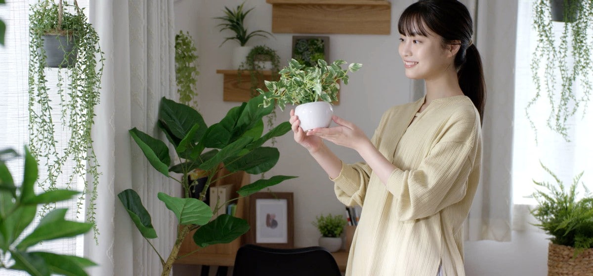 手間なく楽しむグリーンのある生活 メインイメージ