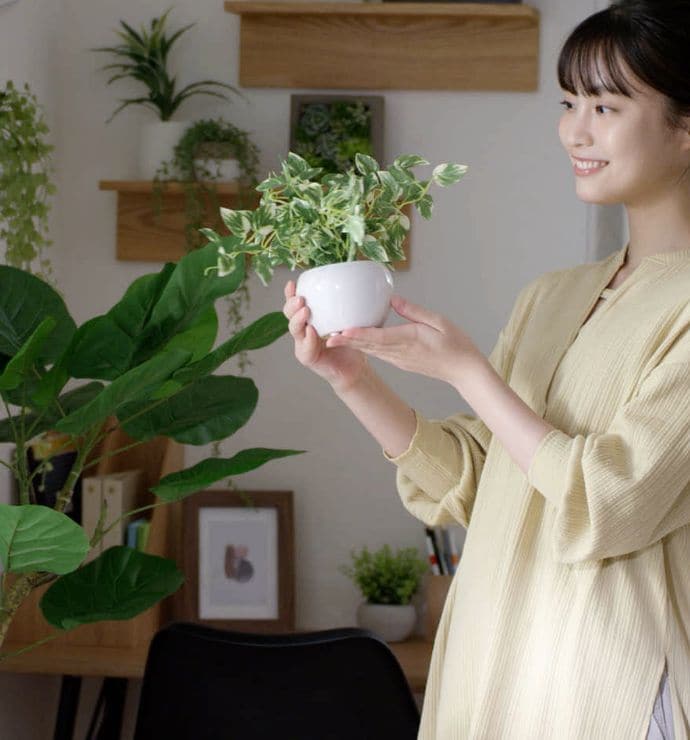 手間なく楽しむグリーンのある生活 メインイメージ