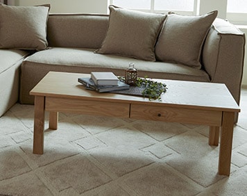 Classic Modern Living room 02