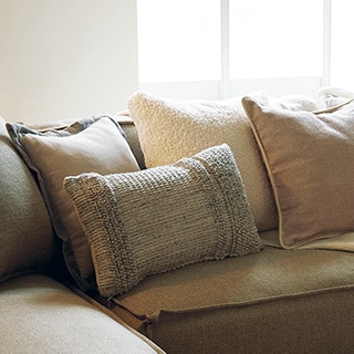 Cushion