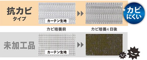カビ培養実験結果 抗カビのほうが4日経ってもカビにくい