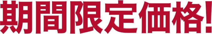 期間限定価格
