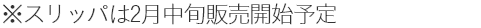 ※スリッパは2月中旬販売開始予定